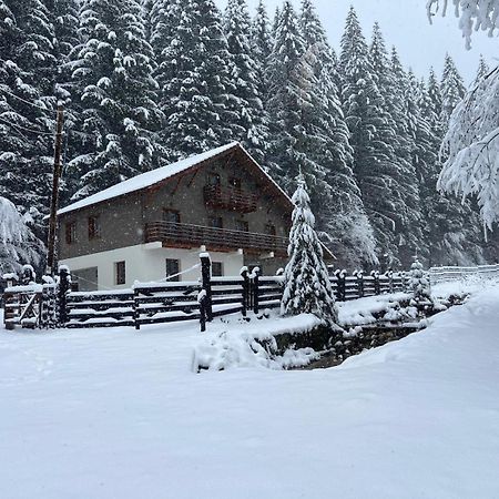 Chiba Chalet Timisu de Jos Luaran gambar