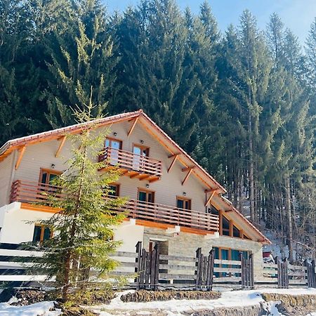 Chiba Chalet Timisu de Jos Luaran gambar