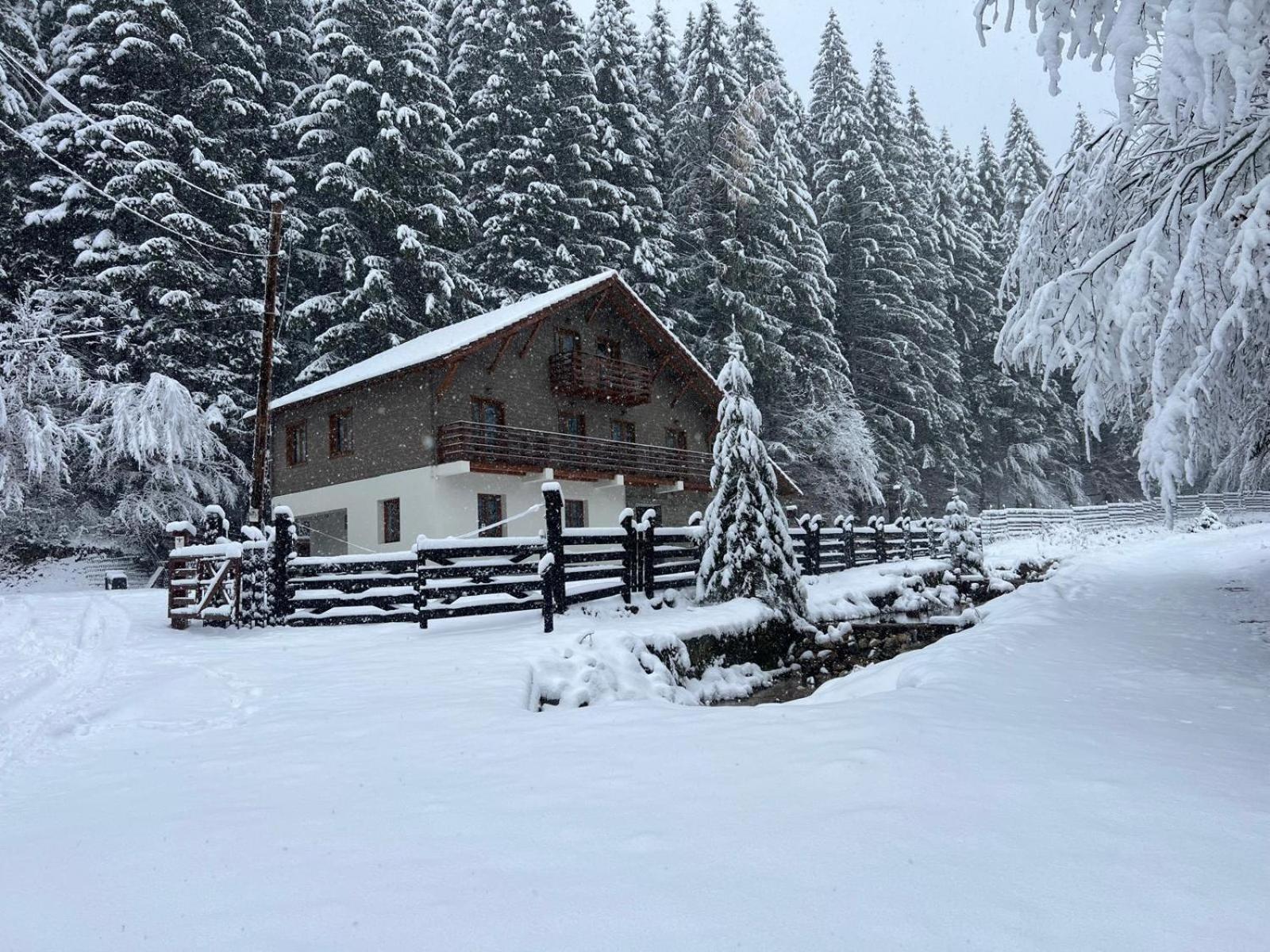 Chiba Chalet Timisu de Jos Luaran gambar