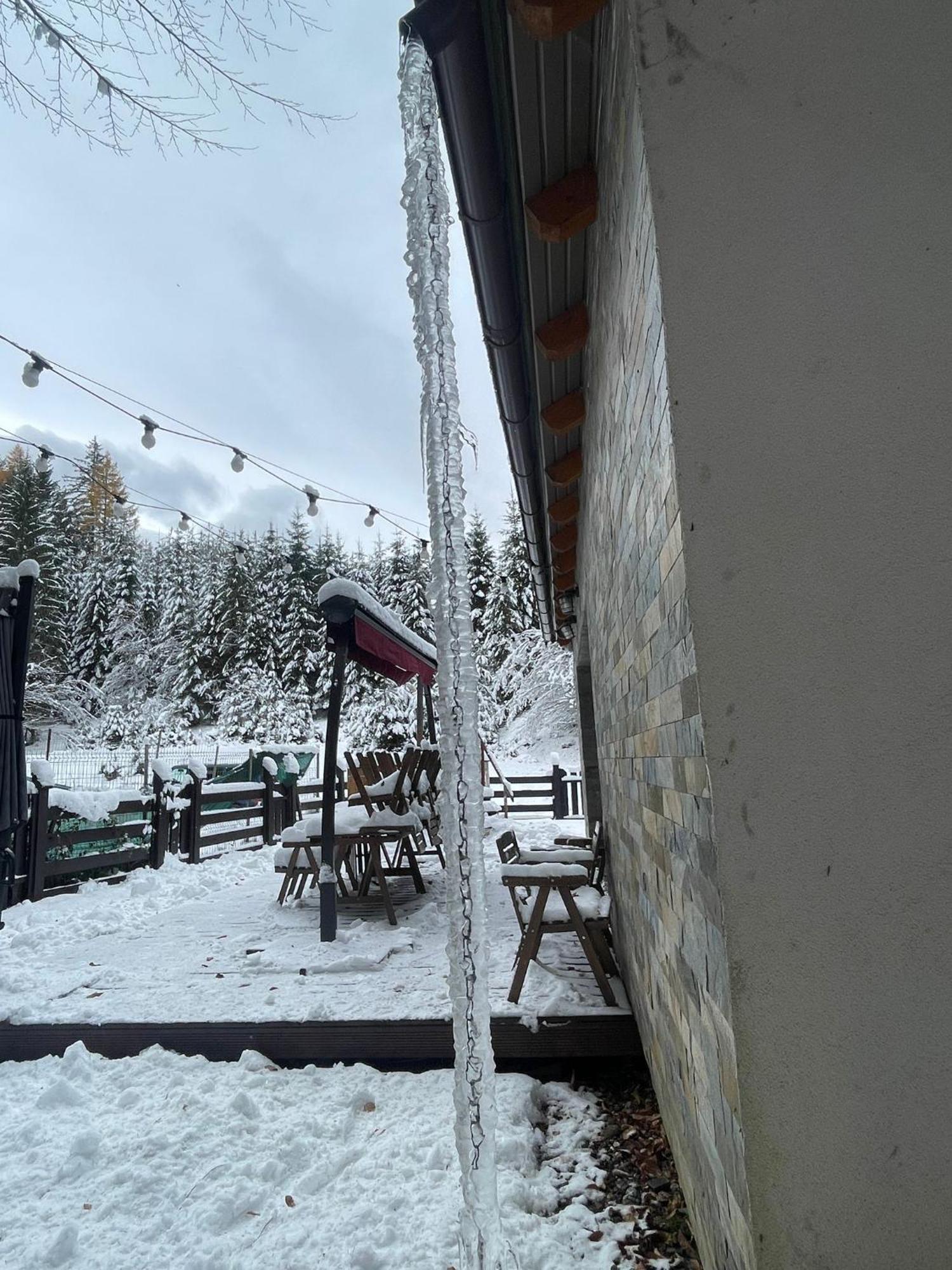 Chiba Chalet Timisu de Jos Luaran gambar