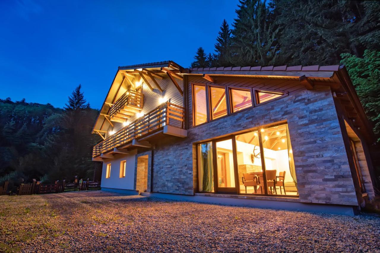 Chiba Chalet Timisu de Jos Luaran gambar