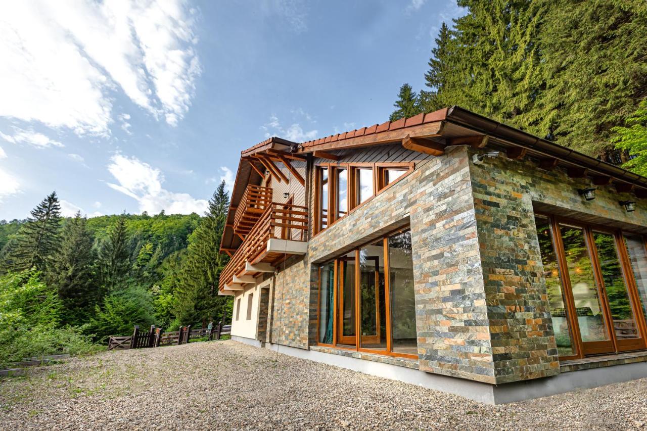 Chiba Chalet Timisu de Jos Luaran gambar