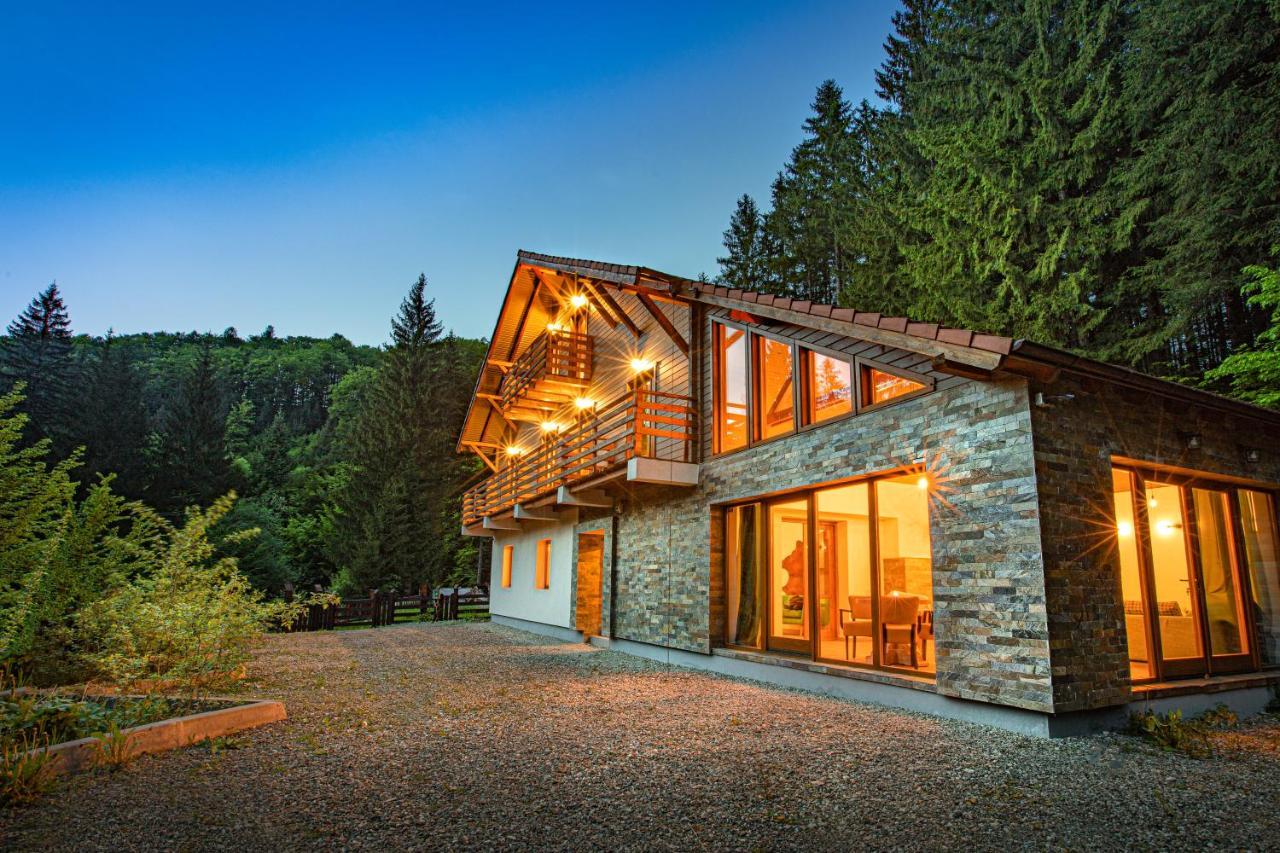 Chiba Chalet Timisu de Jos Luaran gambar