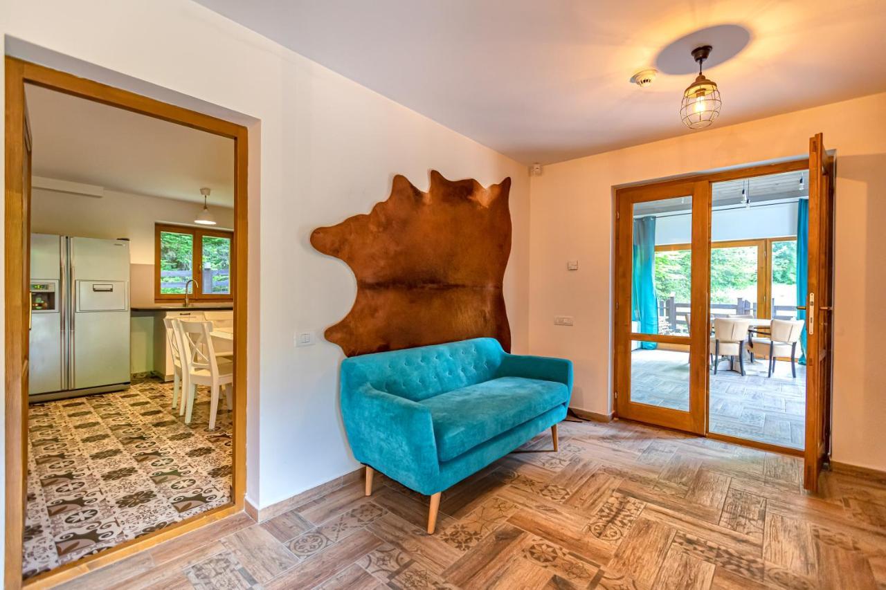 Chiba Chalet Timisu de Jos Luaran gambar
